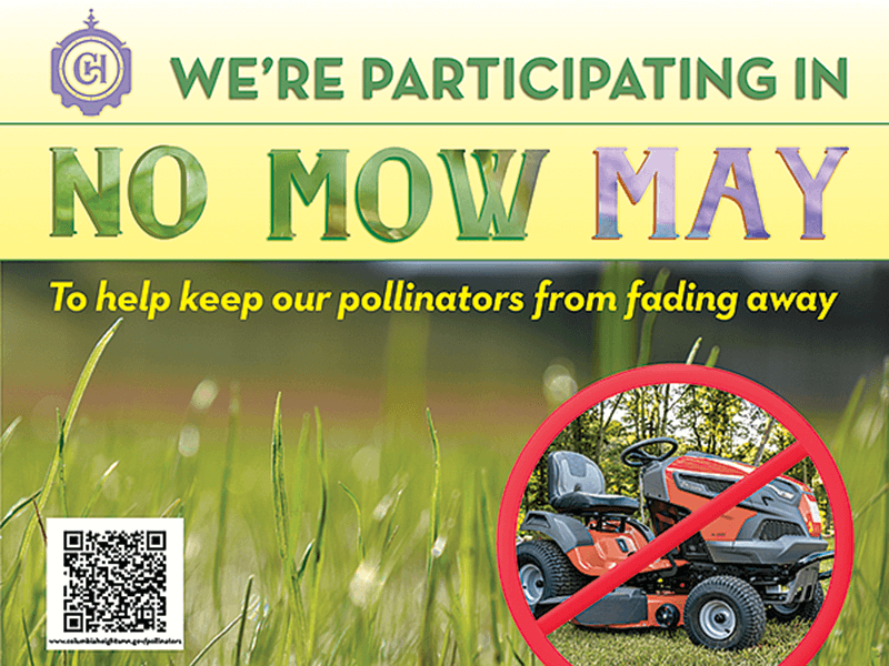 We're participating in No Mow May to help keep our pollinators from fading away.